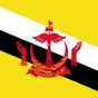 Brunei Darussalam flag