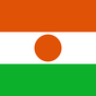 Niger flag