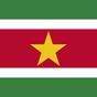 Suriname flag